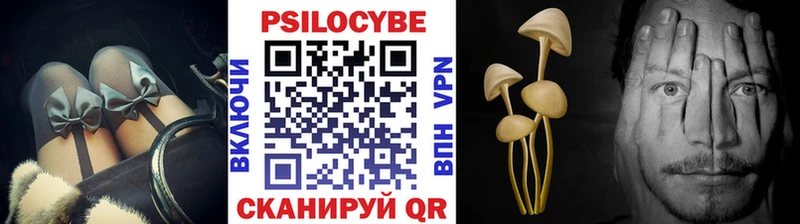 купить наркотики цена  Азнакаево  Псилоцибиновые грибы Cubensis 
