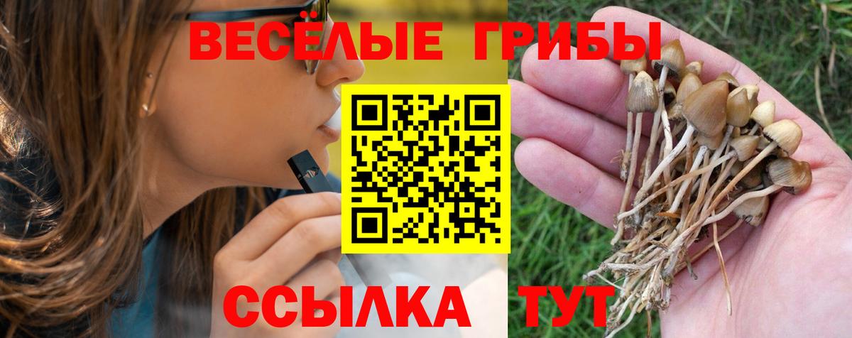 Азнакаево  цены   Вход с VPN  Псилоцибиновые грибы мухоморы 