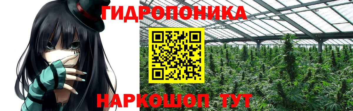 Шишки марихуана Amnesia  Шишки марихуана White Widow  Вход с VPN  МАРИХУАНА SATIVA & INDICA  Азнакаево 